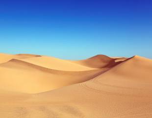 biggest desert in the world